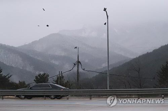 Heavy snow pounds S. Korea, alert issued